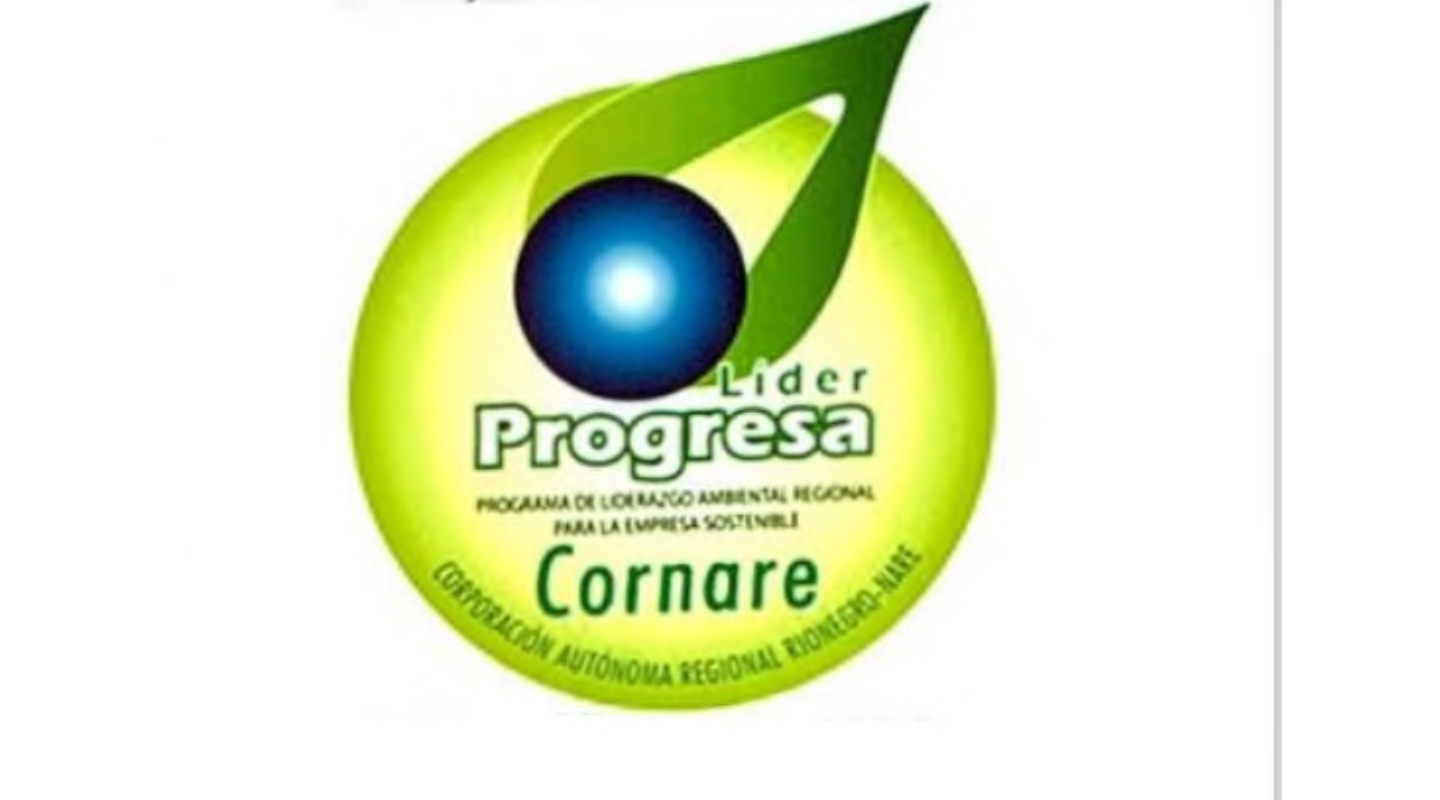 Logo 8